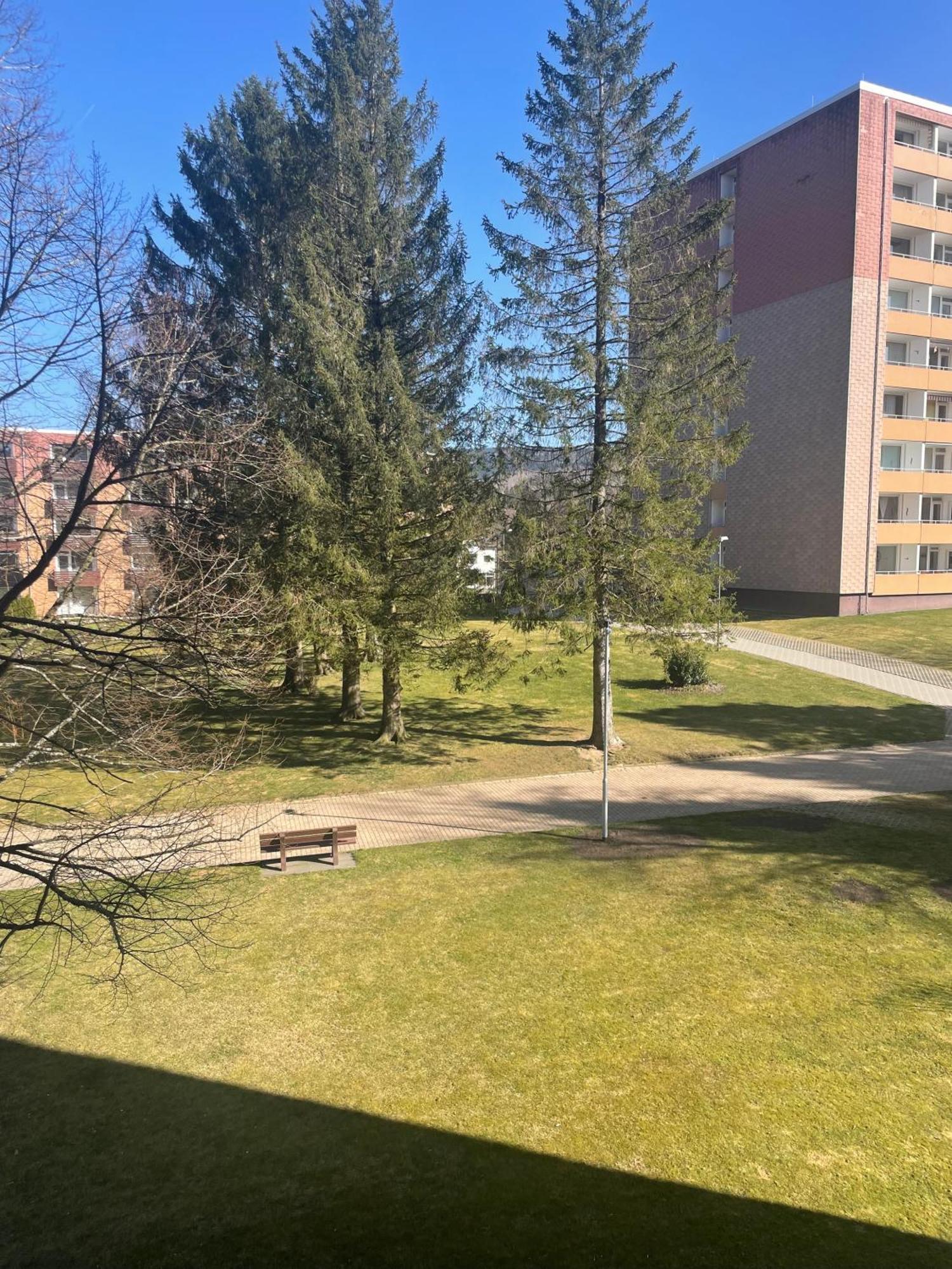 Hexe III Appartement Altenau  Buitenkant foto